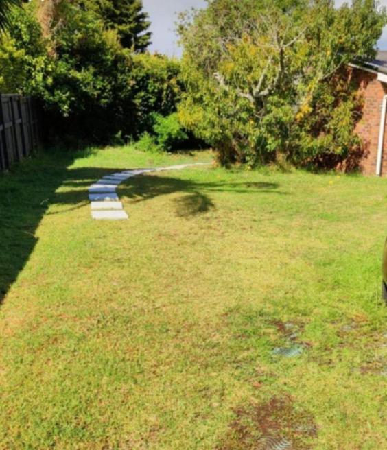Separate Entry Guest Room With Private Bathroom In Forrest Hill Auckland Bagian luar foto